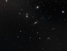 Leo-Quartett (NGC 3185, NGC 3187, NGC 3190, NGC 3193)