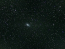 Dreiecks-Galaxie (M 33) im Tri