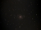 Galaxie (M 74) im Psc