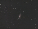 Galaxie (NGC 2841) im UMa