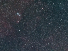 Weihnachtsbaum-Sternhaufen mit Konusnebel (NGC 2264) im Mon