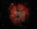 Gasnebel (IC 1396) mit offenem Sternhaufen Tr 37  im Cep