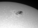 Sonnenflecke mit Fackeln am 9.5.2025