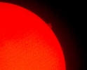 Sonnenprotuberanz in H-Alpha
