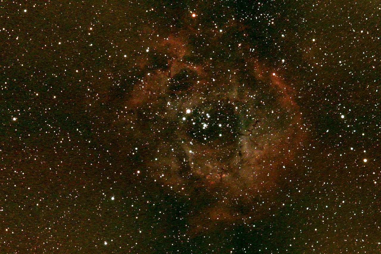 Rosettennebel (NGC 2244), im Mon
