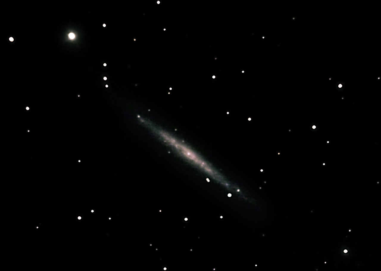 Silbernadel-Galaxie (NGC 4244) im CVn