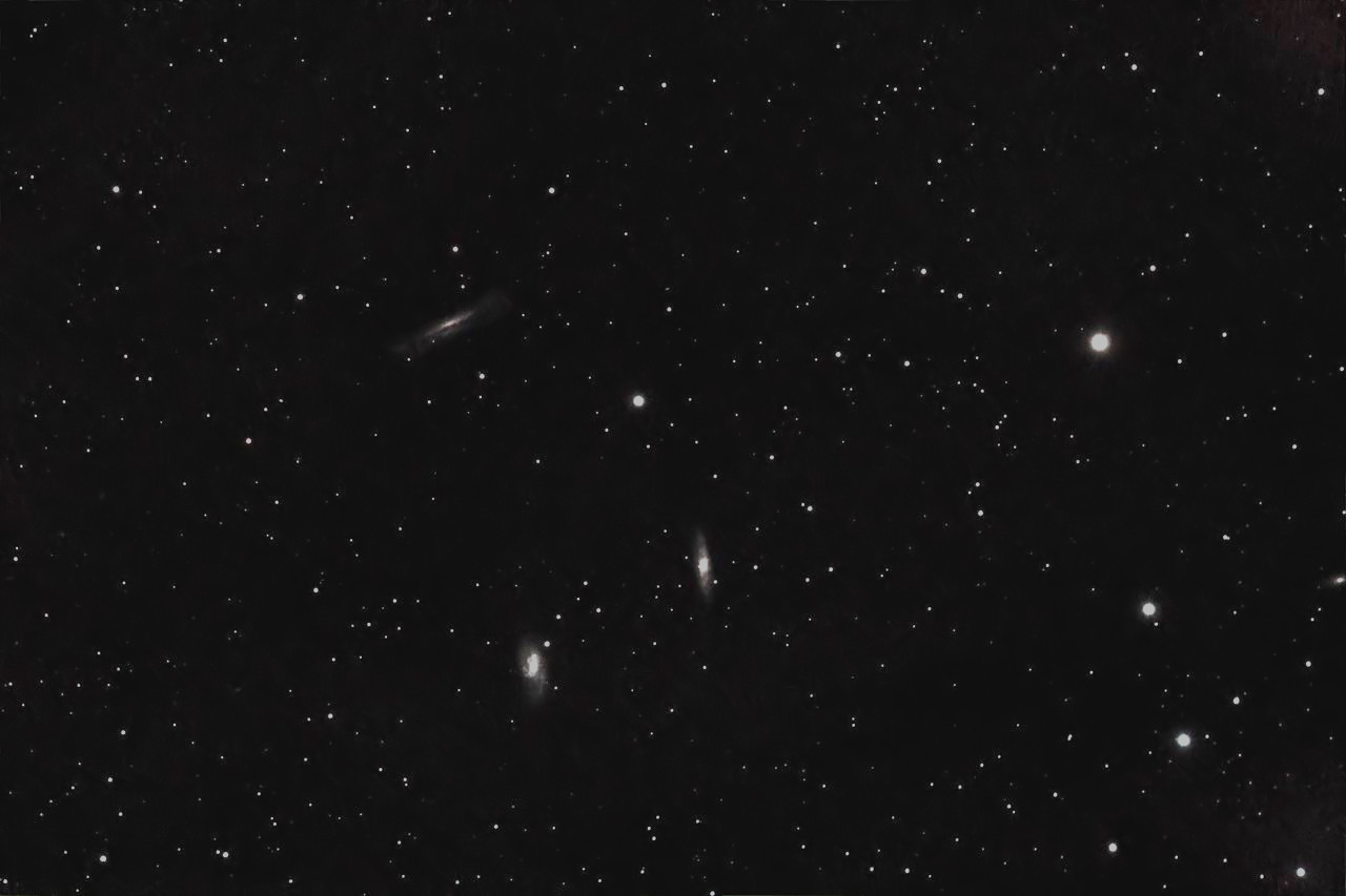 Leo-Triplett (NGC 3628, M 65, M66)