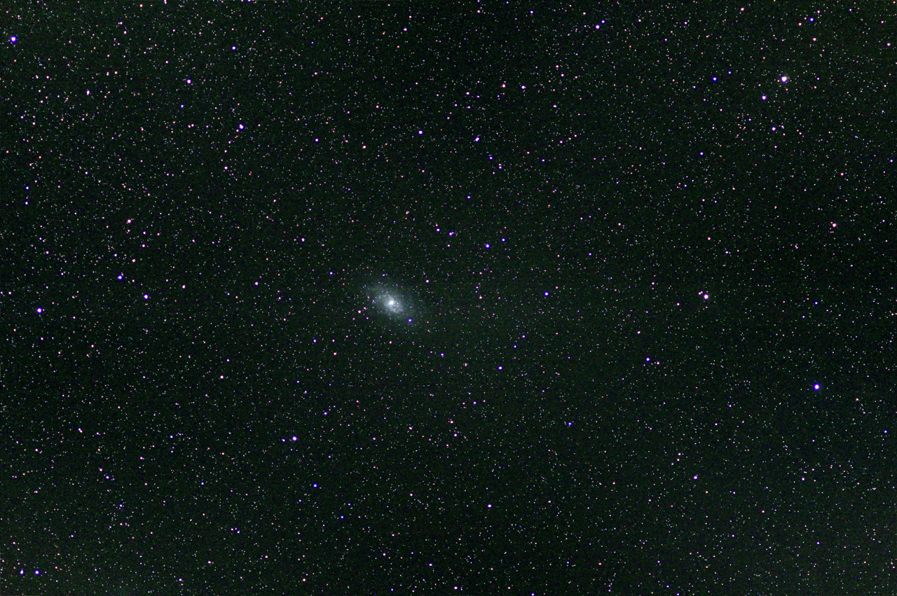 Dreiecks-Galaxie (M 33) im Tri