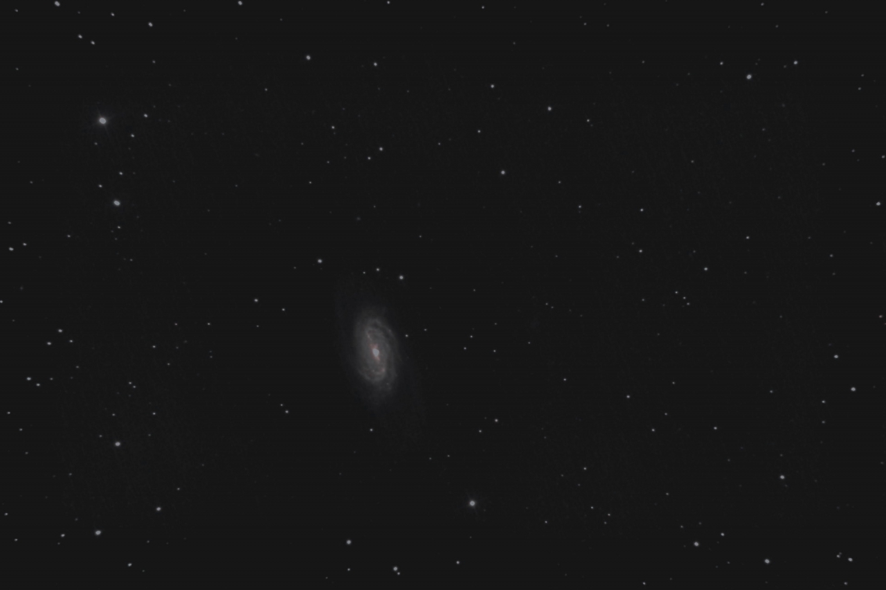 Balkenspirale (NGC 2903) im Leo