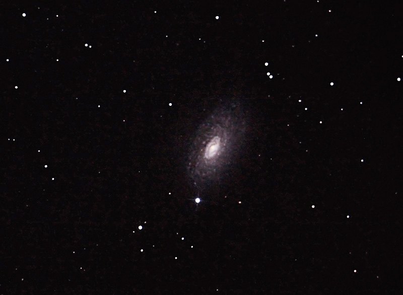 Sonnenblumen-Galaxie (M 63) im CVn