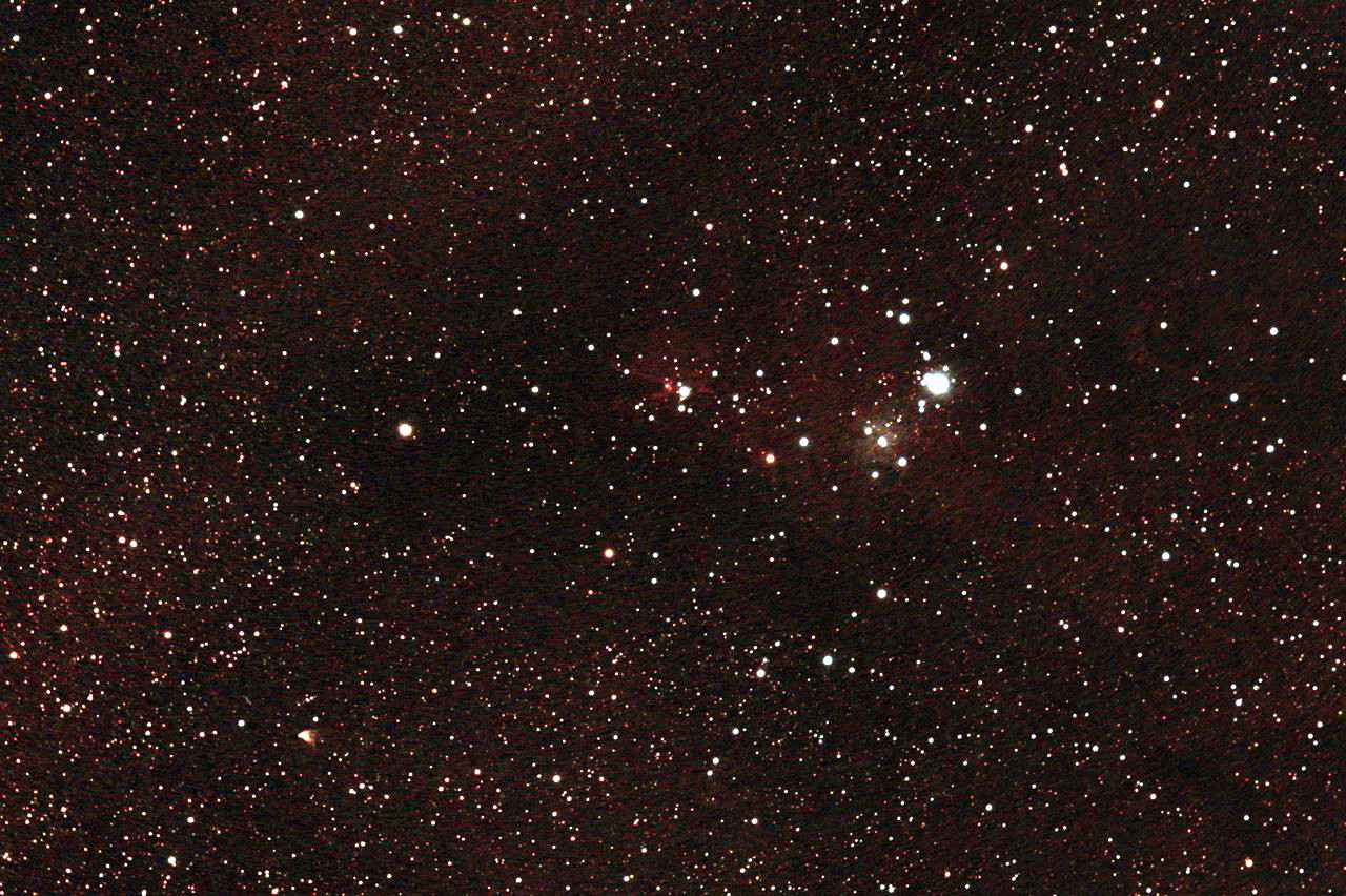 Weihnachtsbaum-Sternhaufen (NGC 2264) im Mon
