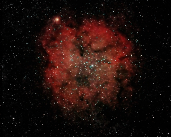 Gasnebel (IC 1396) mit offenem Sternhaufen Tr 37  im Cep
