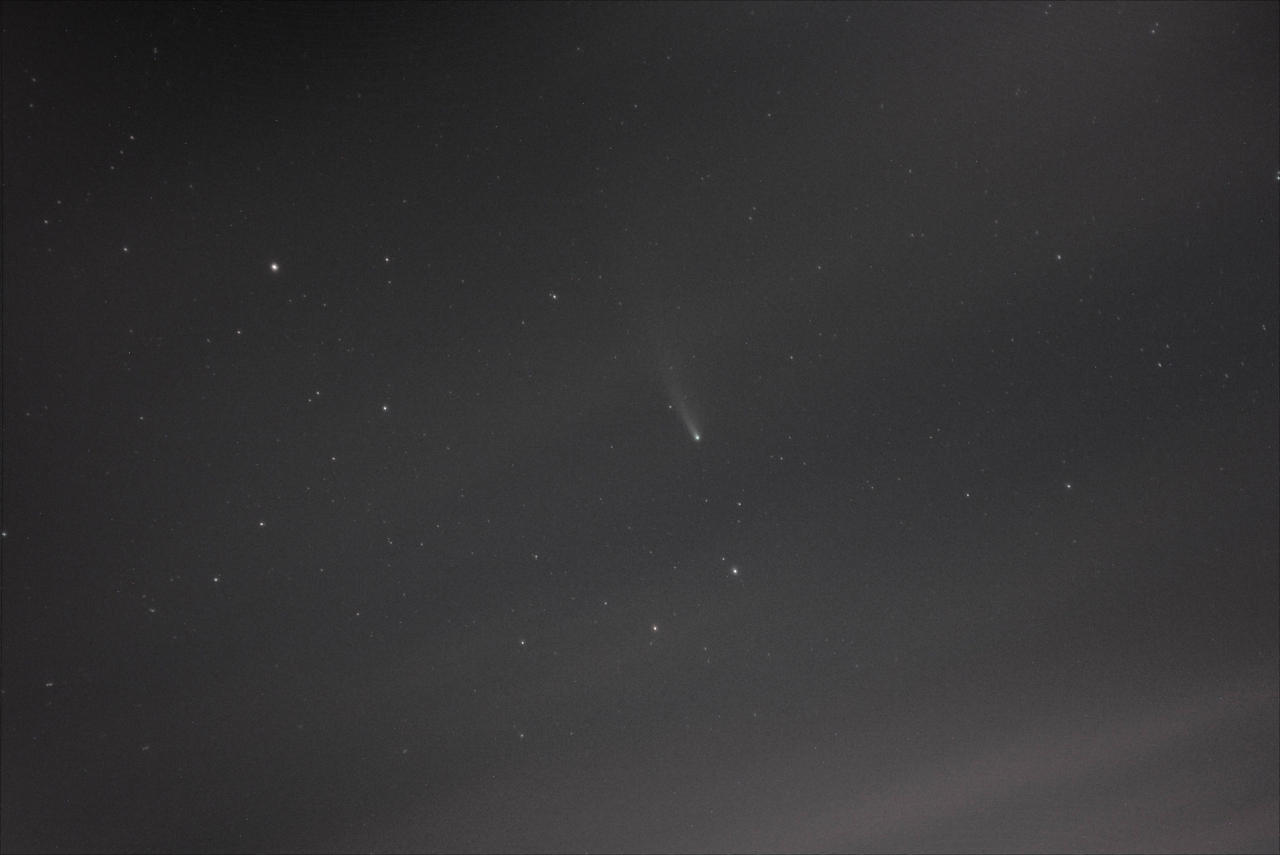 Komet Neowise mit Tessar